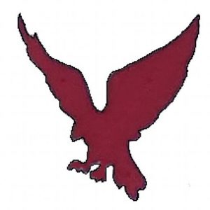 Falkon Logo